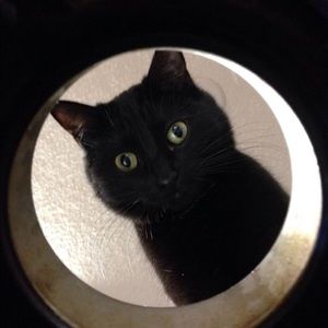 Meet your Posher, Jamye